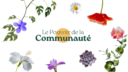 Le pouvoir de la communauté